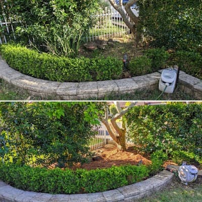 King of The Garden project 3