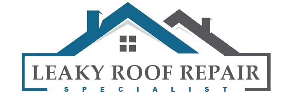 Leaky Roof Repair Specialist