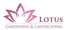 Lotus Garden Maintenance & Landscaping