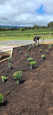 Mark My Garden Sustainable Landscaping & Garden Maintenance project 4