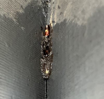 Masters Pest Control Sydney | Penrith