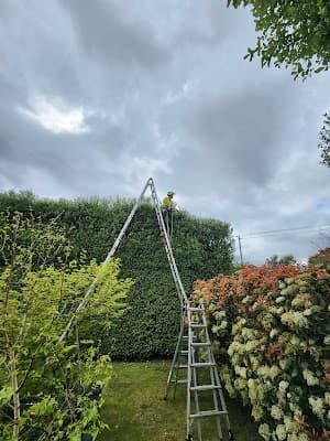 MD Tree Work cover