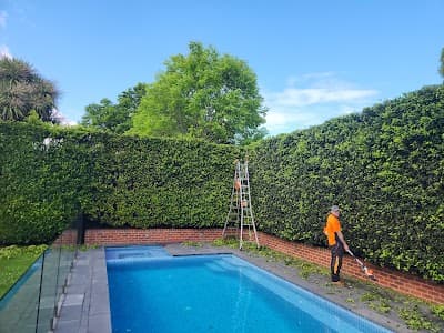 MD Tree Work project 3