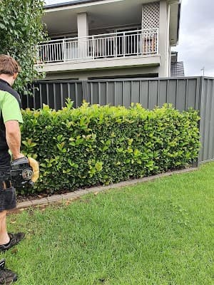 MDA Services Lawns & Garden Care cover