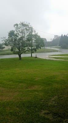 MDA Services Lawns & Garden Care project 4