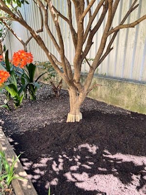 Menai Sand & Soil project 3