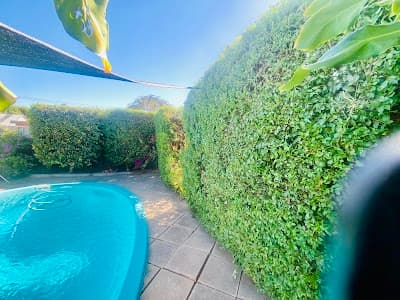 Mid Coast Lawn and Gardening Services project 3