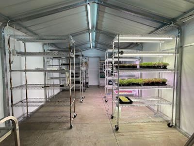 Mightymo Sheds n Carports cover