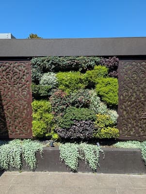 MP Landscapes cover
