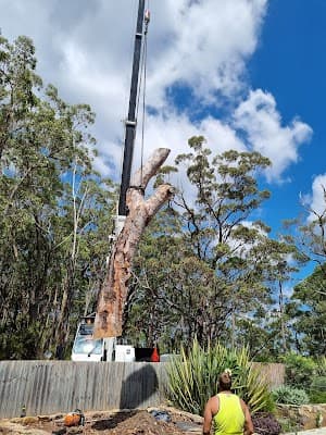 MTS Tree Service cover
