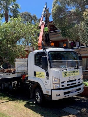 MTS Tree Service project 3