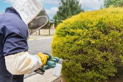 Murray Pest Control - Adelaide project 4