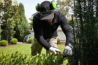 Must Have Maintenance project 5