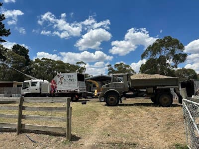 Mystic Tree Services project 3