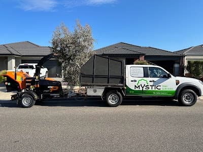 Mystic Tree Services project 1