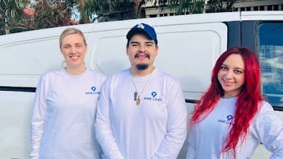 Nine Lives Cleaning project 1