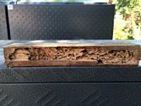 Noah's Ark Pest Control - Termite Treatment and Inspection Services - Maribyrnong