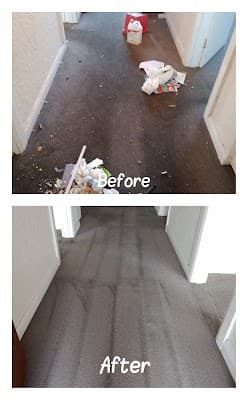 North Geelong Cleaning project 6