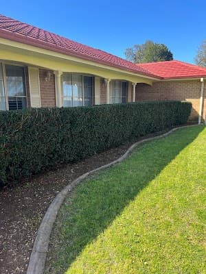Oran park lawn and gardening services project 3