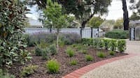 Orange Crush Lawns & Gardens