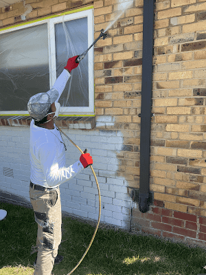 Orchid House Painters project 3