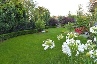 Outdoor Landscapes Company project 3