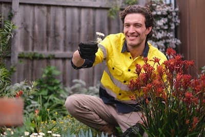 Ozzie Mowing & Gardening project 4