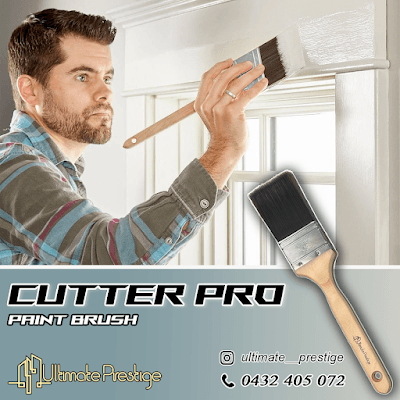 painter gear project 4