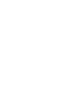 Palmerston Pest Control