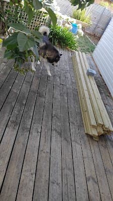 Payne Carpentry and Excavation project 3