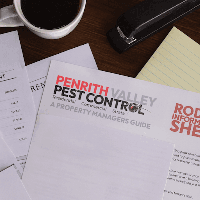 Penrith Valley Pest Control project 4