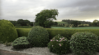 Perc’s Pruning and Lawnmowing
