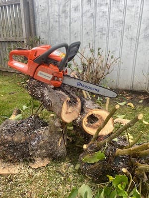 Perc’s Pruning and Lawnmowing project 3