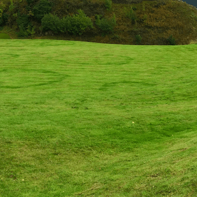 Perc’s Pruning and Lawnmowing project 4