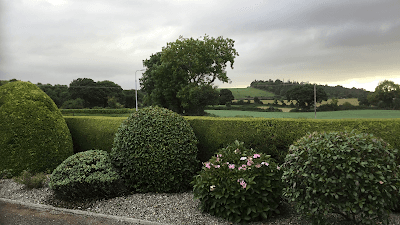 Perc’s Pruning and Lawnmowing project 1