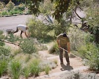 Perimeter Landscaping
