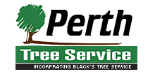Perth Tree Service