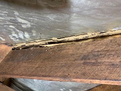 Pestfix Pest Management project 3