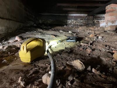 Pestfix Pest Management project 4