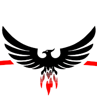 Phoenix Plumbing