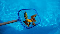 Pool Cleaning Hampton North