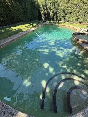 Pool Cleaning Ormond cover