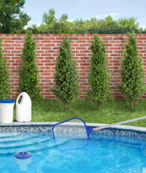 Pool Maintenance Balwyn