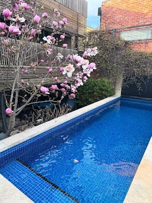 POOL RESCUE project 6