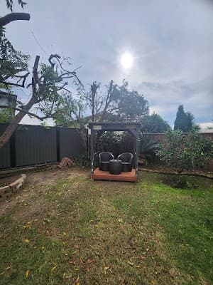 Practical Tree Solutions project 3