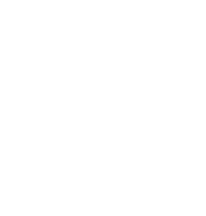 PREMIER TREE SERVICES