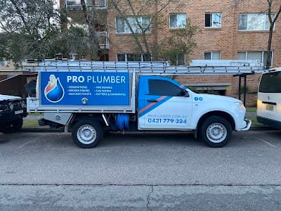 Pro Plumber cover
