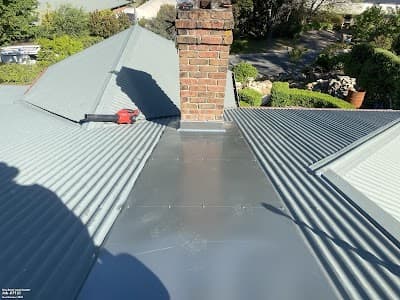 Pro Roof and Gutter cover