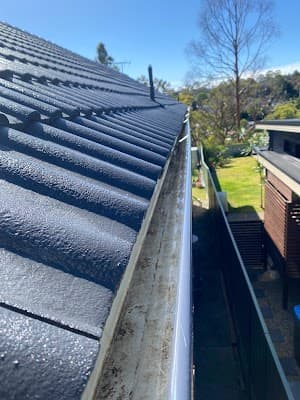 ProWash Gutter & Roof Cleaning PTY LTD project 4