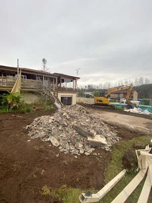 Rapid Demolition cover
